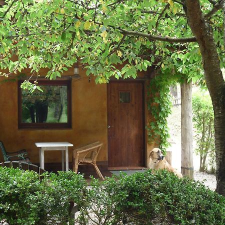 Masia El Moli De Can Aulet Konuk evi Arbúcies Dış mekan fotoğraf