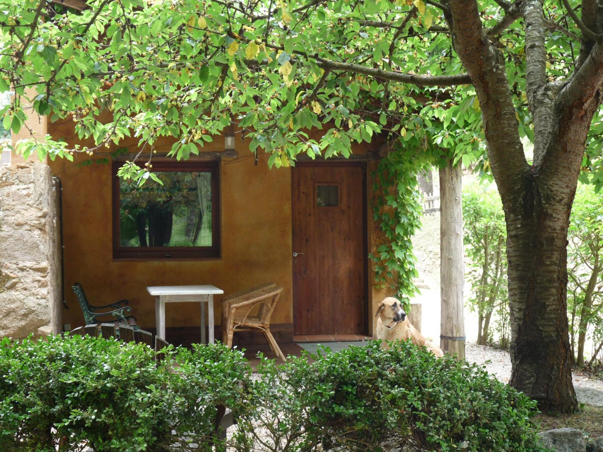 Masia El Moli De Can Aulet Konuk evi Arbúcies Dış mekan fotoğraf