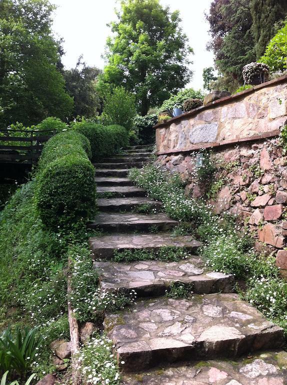 Masia El Moli De Can Aulet Konuk evi Arbúcies Dış mekan fotoğraf