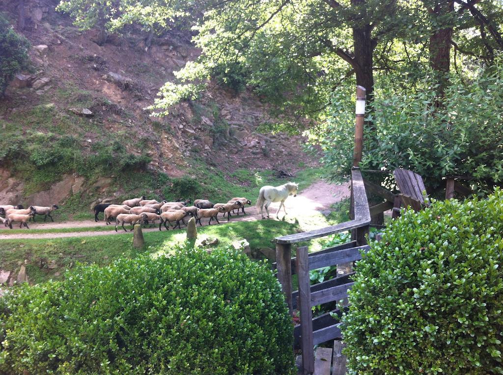 Masia El Moli De Can Aulet Konuk evi Arbúcies Dış mekan fotoğraf