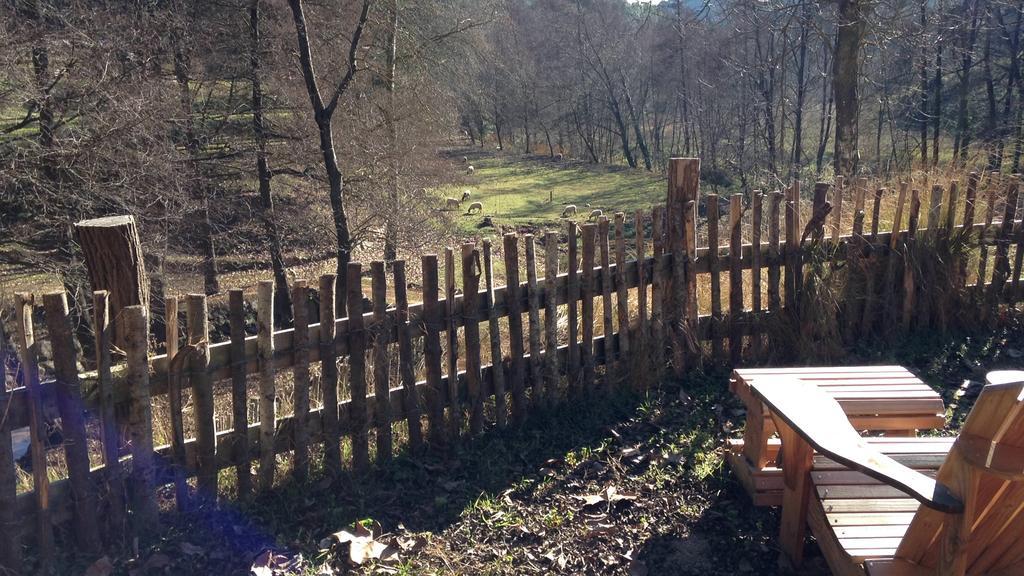 Masia El Moli De Can Aulet Konuk evi Arbúcies Dış mekan fotoğraf