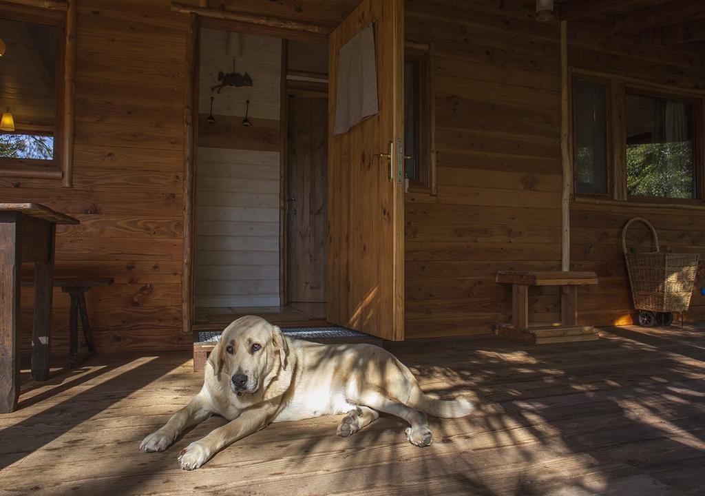 Masia El Moli De Can Aulet Konuk evi Arbúcies Dış mekan fotoğraf