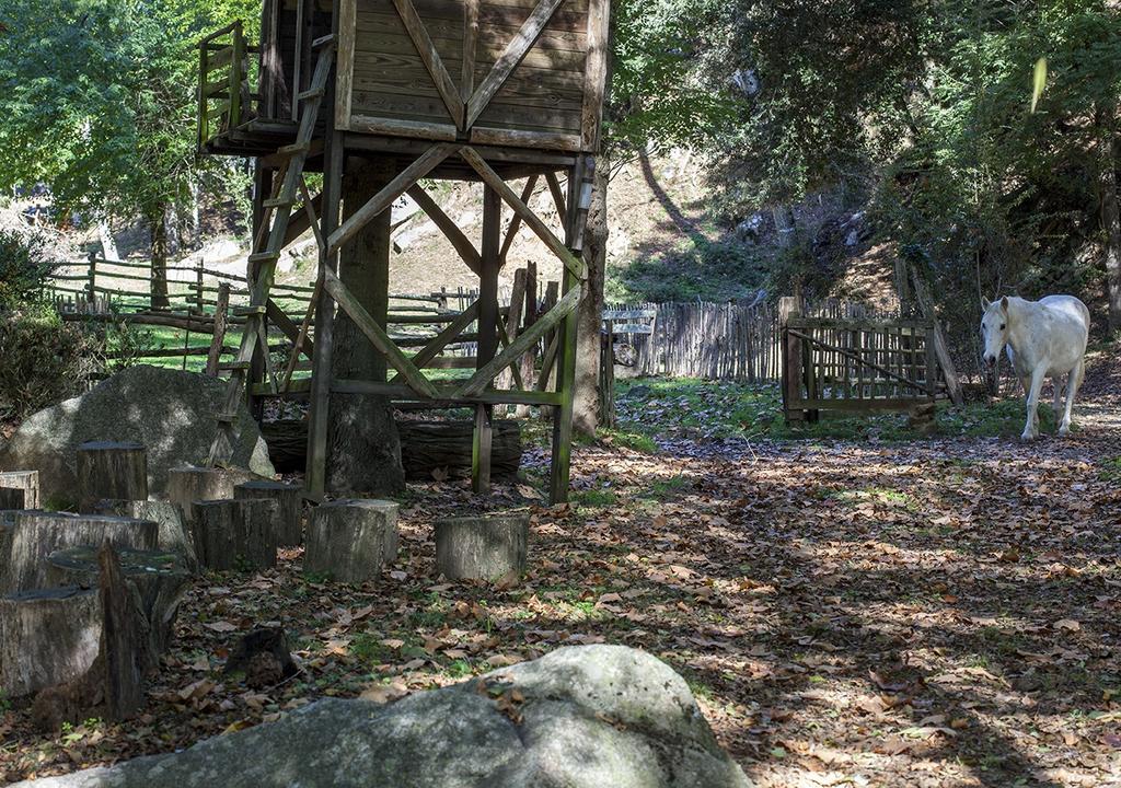 Masia El Moli De Can Aulet Konuk evi Arbúcies Dış mekan fotoğraf