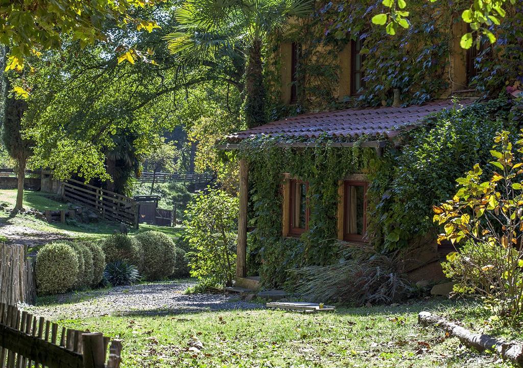 Masia El Moli De Can Aulet Arbúcies Dış mekan fotoğraf