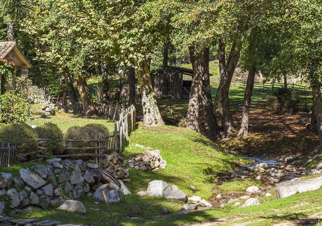 Masia El Moli De Can Aulet Arbúcies Dış mekan fotoğraf